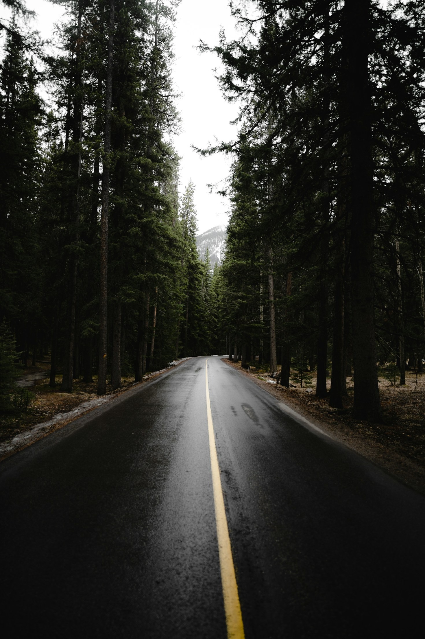 Die Faszination des Nomadenlebens